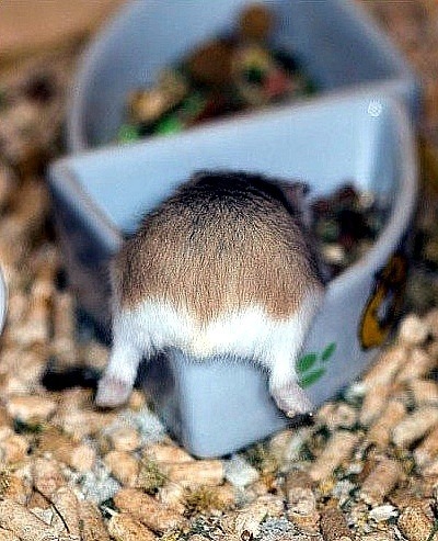 여자들한테 치명적으로 보인다는 뒷모습 ㄷㄷㄷㄷㄷ.JPG | 인스티즈